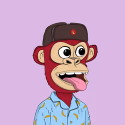 Kindergarten BabyApes #4604