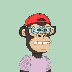 Kindergarten BabyApes #6272