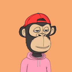 Kindergarten BabyApes #4472