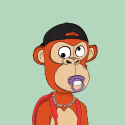 Kindergarten BabyApes #9633