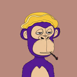 Kindergarten BabyApes #4144