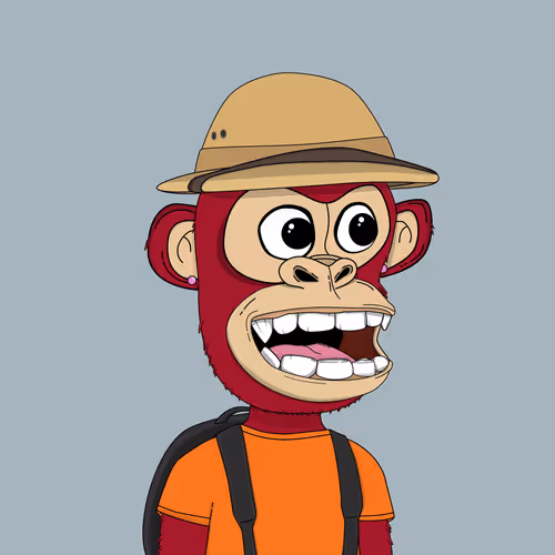 Kindergarten BabyApes #9971