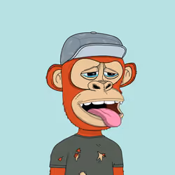 Kindergarten BabyApes #9638