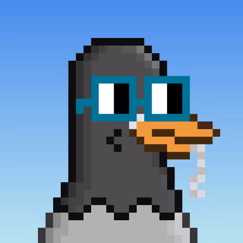 Nounbirdz By Squarish Xyz
