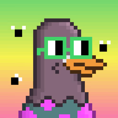 Nounbirdz By Squarish Xyz