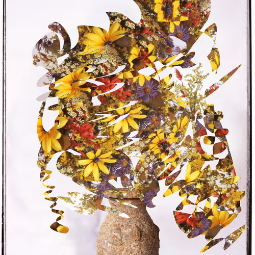 fig. 25 - Mia Forrest