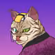 5067