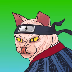 YakuzaCats #4264