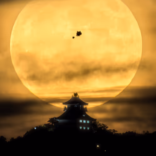 The Collaboration V2