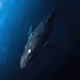 SEAQUARIUM