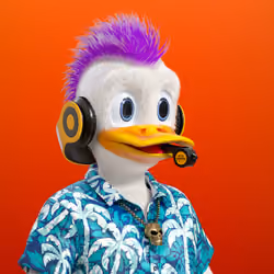 Frenzy Ducks #2033