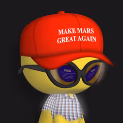 Q Boy