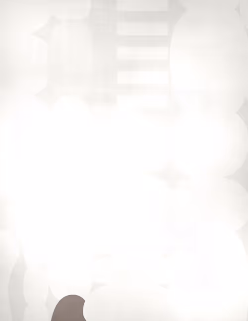 Item #10000000228 Media