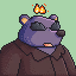 Poko Bear #645