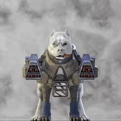 Rare Albino Pitbull: #12519