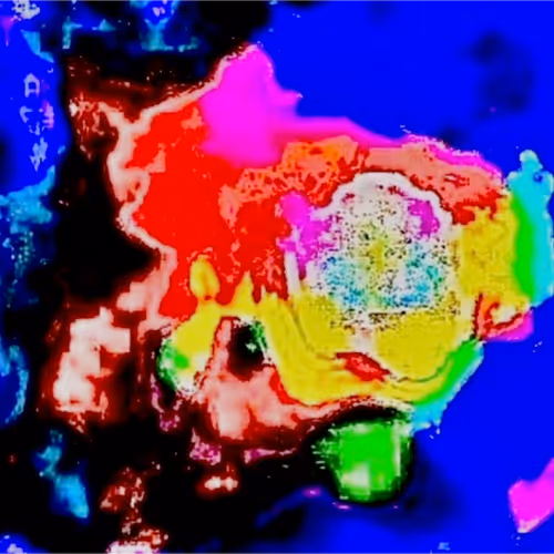 Multidimensional Pet 1