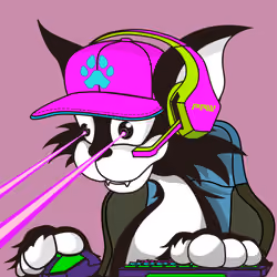 PAW THE HYPER LYNX #678