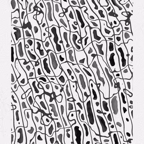 The Source By Camille Roux X Matthieu Segret