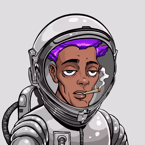 Space Punk #8711