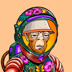 Space Punk #4406