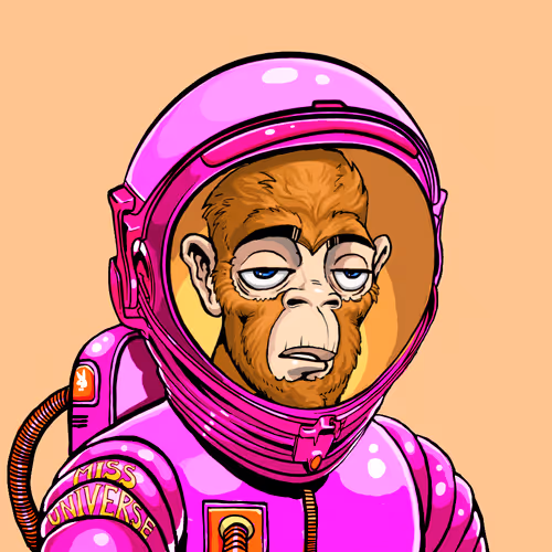 Space Punks Club