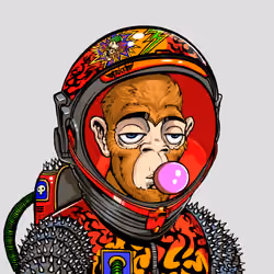 Space Punk #5423