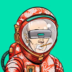 Space Punk #3264