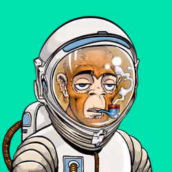 Space Punk #917