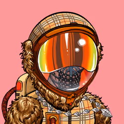Space Punk #7894