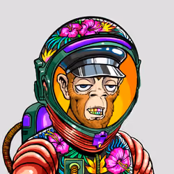 Space Punk #8163