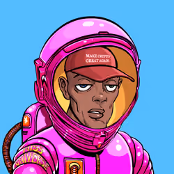 Space Punk #4493