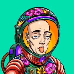 Space Punk #5474