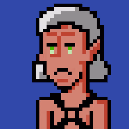 Ugly Degen Punks #497