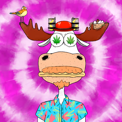 Themetamooseclubofficial
