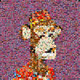244