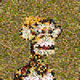 294