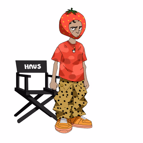Haus Experiment