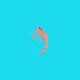 The Crypto Krill