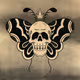 Dead Paradise V2