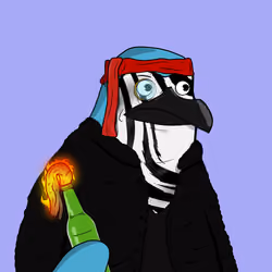 5049