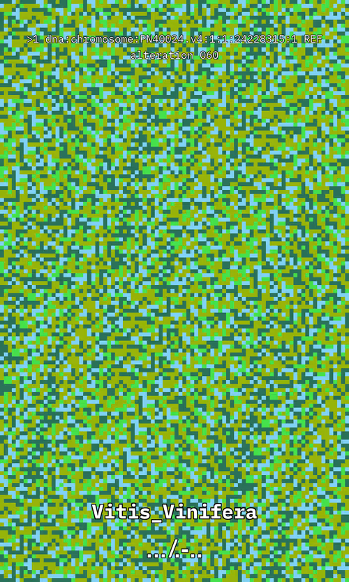 Item #60 Media