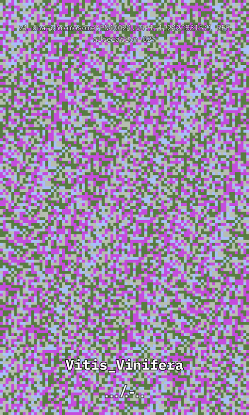 Item #27 Media