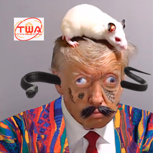 Neversurrendersexyjailtimetrumpcards