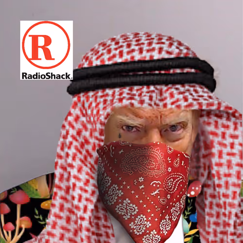 Neversurrendersexyjailtimetrumpcards