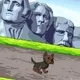 2954