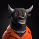 1667