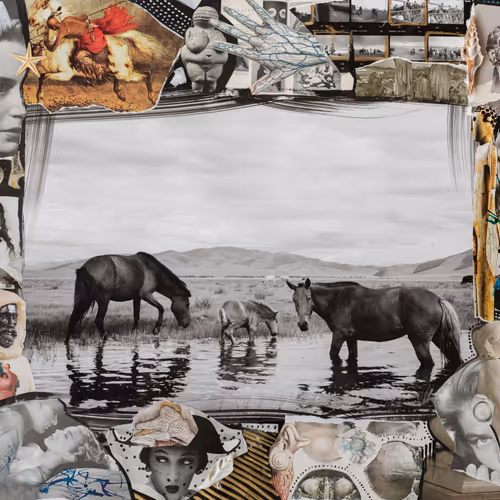Divine - Horse in Mongolia