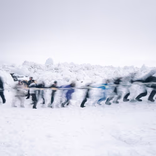 Rumors of Arctic Belonging - Whalers Landing Bowhead, Point Nuvuk
