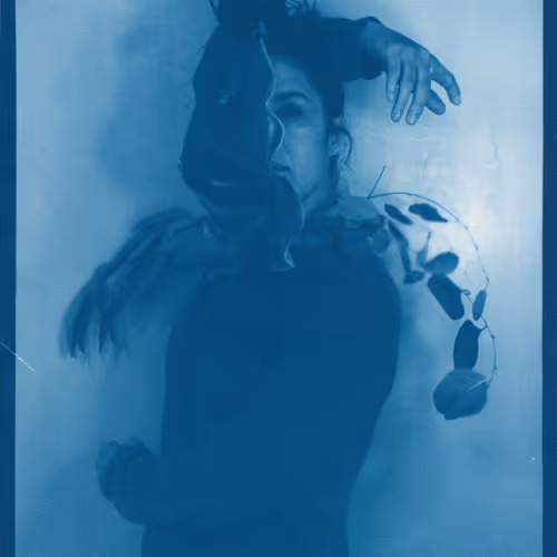 Anxious Pleasures By Amy Elkins