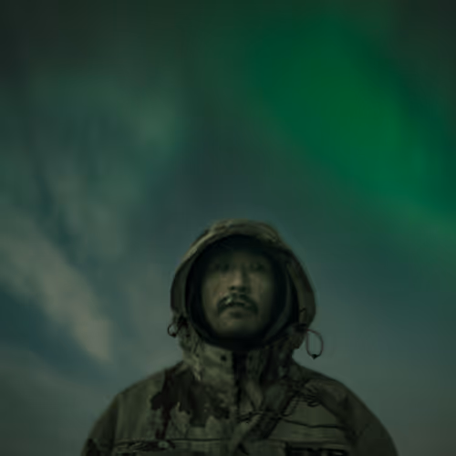 Rumors of Arctic Belonging - Auroral Night over Whaler, Nuvuk